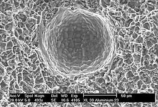 SEM image of a pore